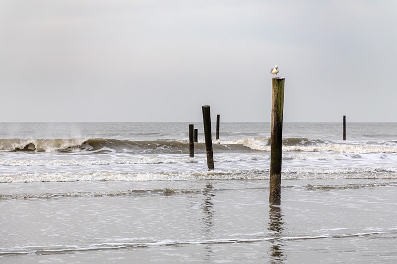 File:Norderney, Nordstrand -- 2018 -- 0896.jpg