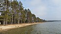 North Higgins Lake State Park