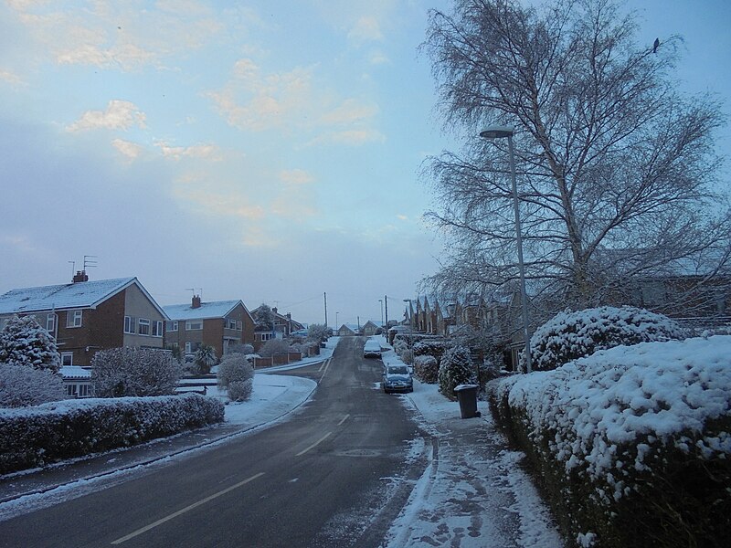 File:Oakwood Road, Wetherby in the snow (27th February 2018) 002.jpg