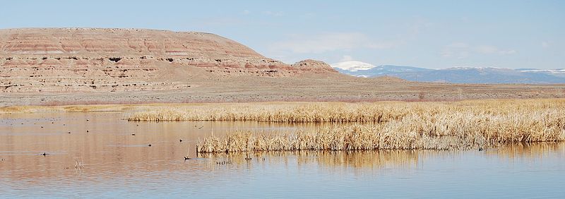 File:Ouray National Wildlife Refuge (5196636023).jpg