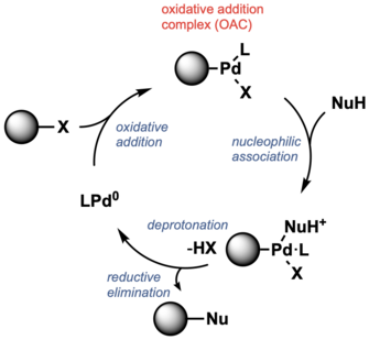 Oxidative Addition Complex.png