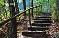 English: Staircase on the forest track Deutsch: Treppe