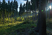 Čeština: Přírodní park Bohdalov-Hartinkov, okres Svitavy