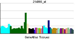 PBB GE GRIK5 214966 ĉe tn.png