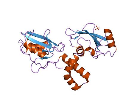 PDB 1m61 EBI.jpg