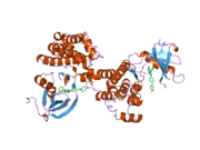 PDB 1yol EBI.png