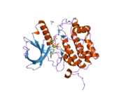 PDB 2ou7 EBI.png