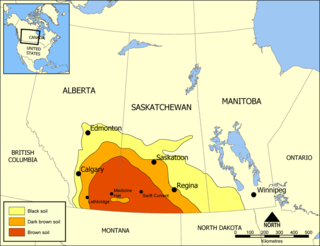 <span class="mw-page-title-main">Palliser's Triangle</span> Geographic region in southern Alberta and Saskatchewan