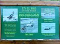 Panneau d'information, rivière Lapataia, parc national Tierra del Fuego, Argentine.jpg