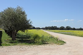 Panoramatické z Dehesa de Los Llanos