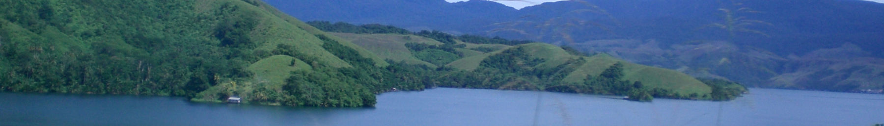 Papua banner.jpg