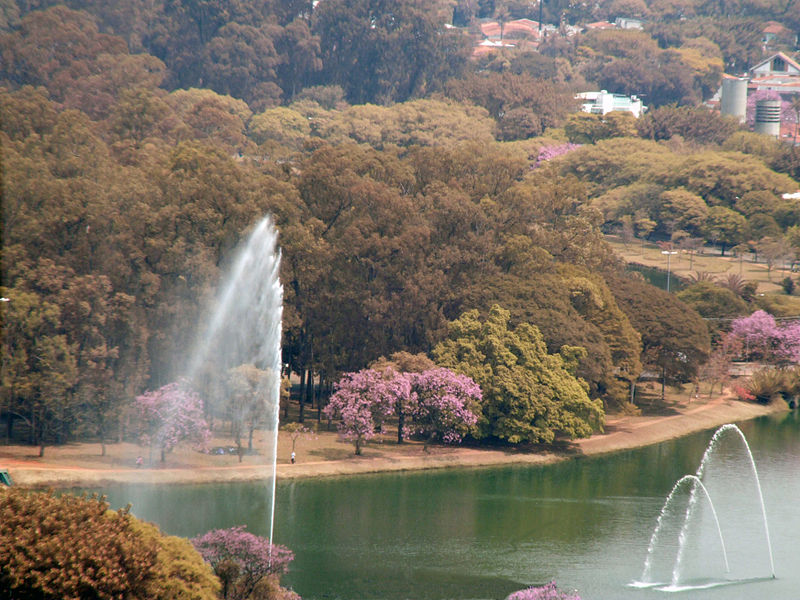 File:Parque do Ibirapuera com Itaim ao fundo.jpg