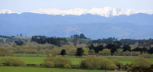 Manawatu Gorge Track things to do in Tararua Forest Park