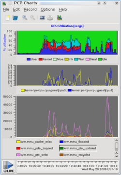 Screenshot von PCP-Diagrammen