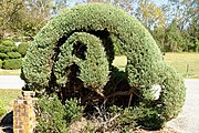 Topiary Garden by Pearl Fryar, Bishopville, South Carolina, U.S.