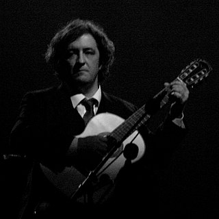 Pedro Ayres Magalhães Portuguese musician