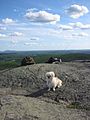 Here is Ruby at the summit of Mt.Watatic in August 2006