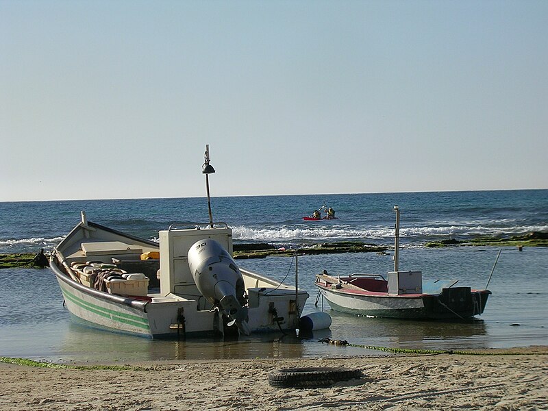 File:PikiWiki Israel 37123 Nature and Colors.JPG