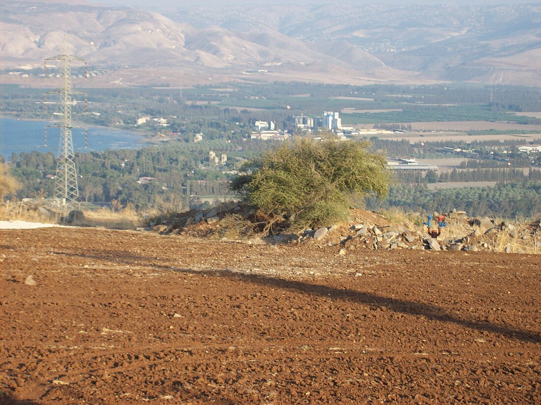 רמת פוריה