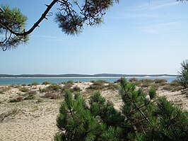 Strand van Gatseau