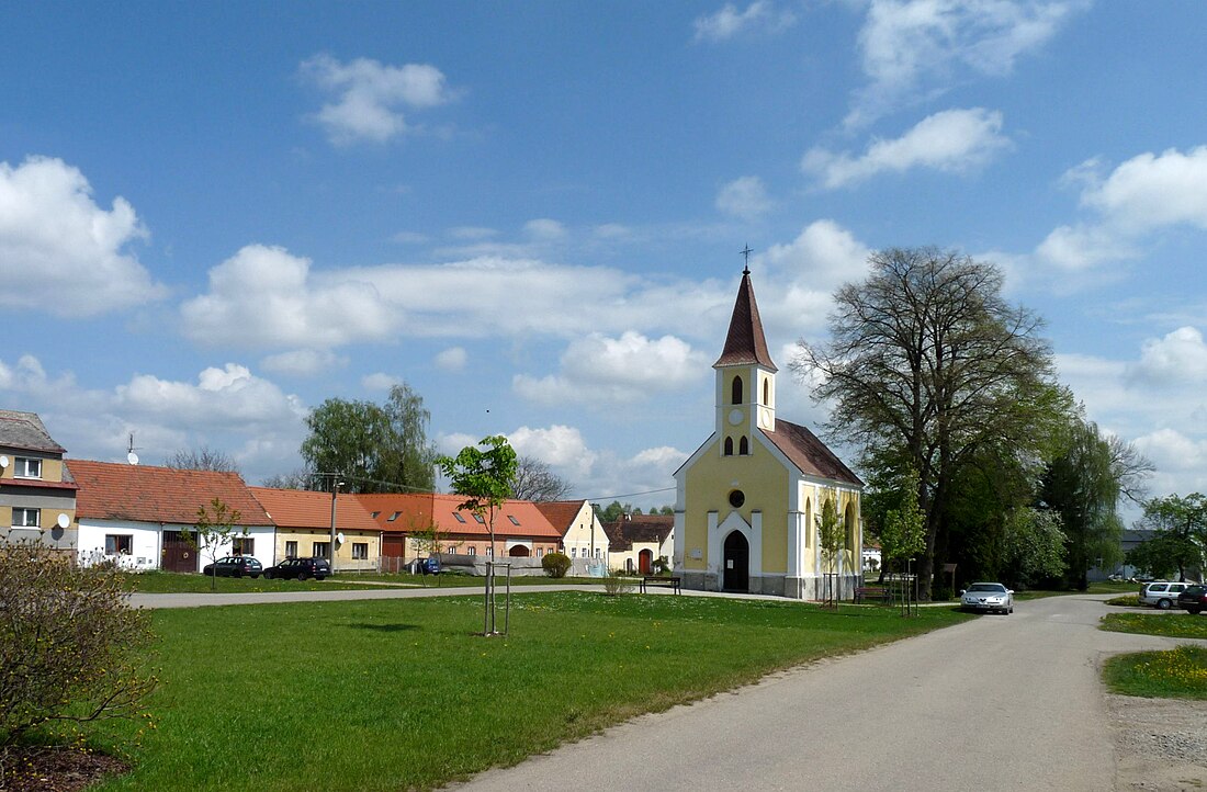 Planá (České Budějoviceko barrutia)