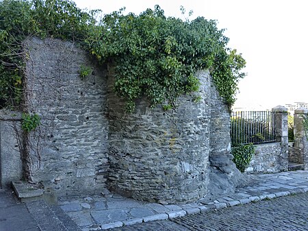 Plymouth Castle