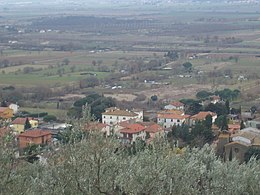 Policiano - Vue