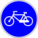 Mandatory bicycle lane (D7A)