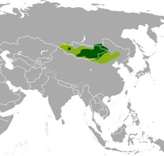 Território histórico (verde-claro) e atual (verde-escuro) da gazela-mongol