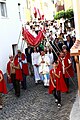 Procession ErvedosaDoDouro 1