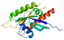 Ақуыз CENTG1 PDB 2bmj.png