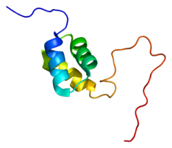 Протеин USP5 PDB 2dag.png