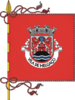Flagga av Melgaço