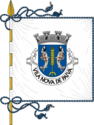 Vila Nova de Paiva - Flag