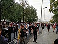 Rally against raising the retirement age (2018-09-09; Moscow) 37.jpg