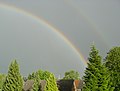 Rainbow, Krefeld