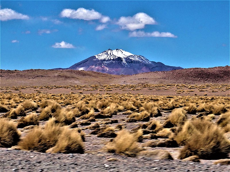 File:Reserva nacional de fauna andina Eduardo Abaroa 52.jpg