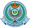 Սաուդյան թագավորական ռազմաօդային ուժերի դրոշը
