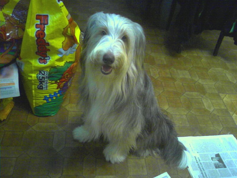 File:Rufus e a comida.jpg