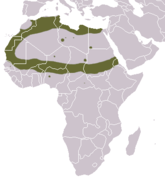 Saharan Striped Polecat area.png 