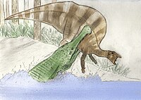 סרקוסוכוס מזנק על אורנוזאורוס מתוך המים