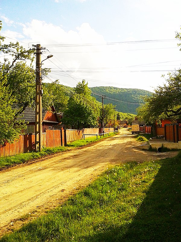 Sita Buzăului