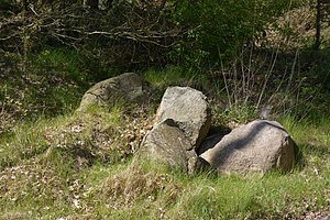 Schleswig-Holstein, Bark, Wittenborner Heide NIK 6010.jpg