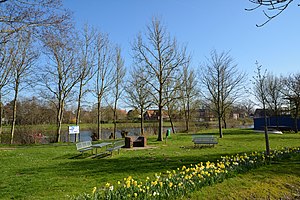 Schleswig-Holstein, Friedrichstadt, Naturerlebnisraum NIK 4959.jpg