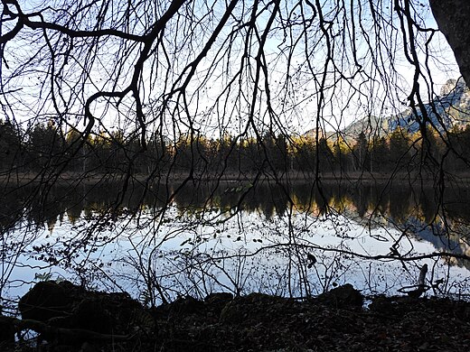 Der Schwansee im Herbst