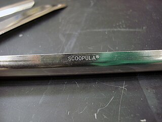 <span class="mw-page-title-main">Scoopula</span>