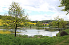 Čeština: Prostřední rybník u Vrchotic, části Sedlece-Prčice English: Prostřední pond by Vrchotice, part of Sedlec-Prčice, Czech Republic.