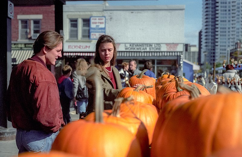 File:Shopping for pumpkins in Ottawa.jpg