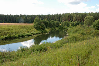 The Shosha near Mikulino in Moscow Oblast