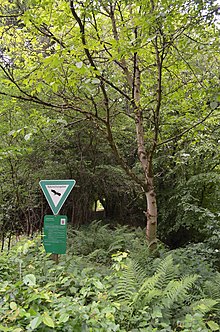 Silberbachtal bei Schloßborn